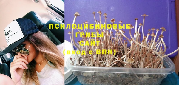 бутират Михайлов